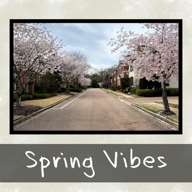 Spring Vibes cover art