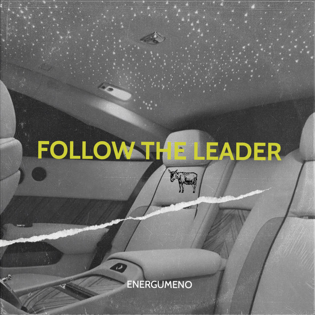 Follow the leader cover art