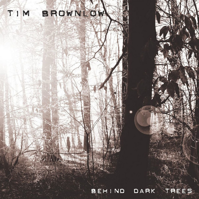 Behind Dark Trees cover art