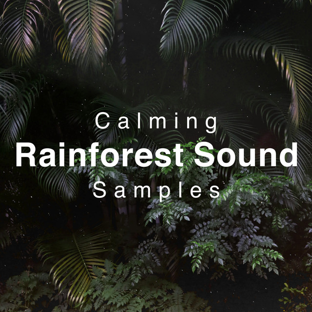 Calming Rainforest Sound Samples ! ! ! ! - Album by Calming Rainforest ...