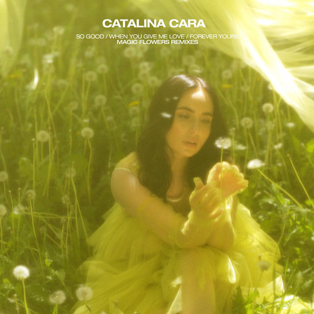 Magic Flowers Remixes cover art