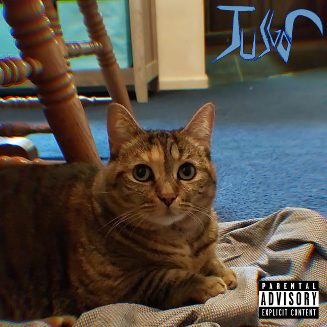 Incoherence cover art