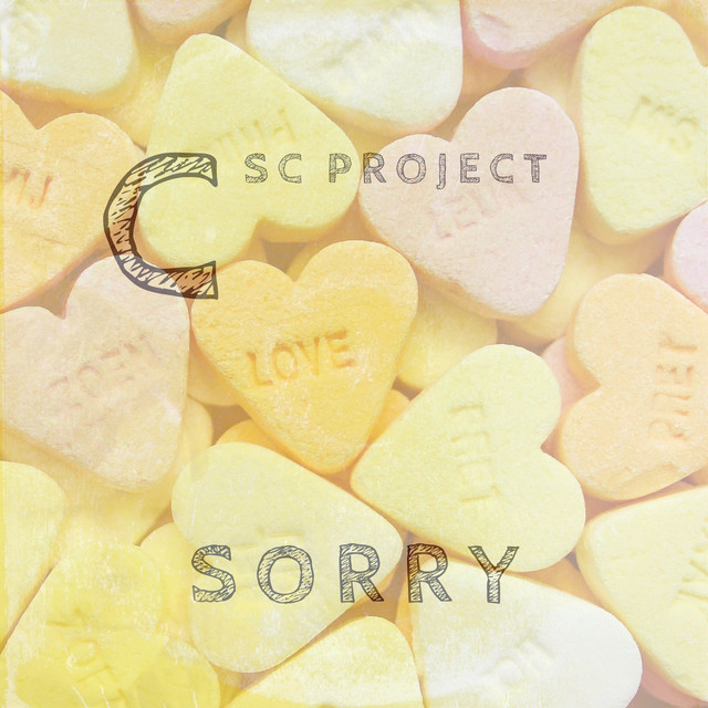 Sorry cover