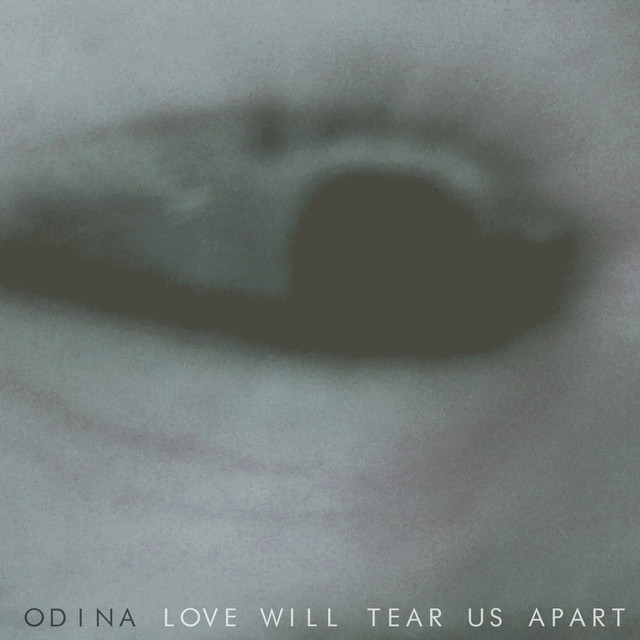Love Will Tear Us Apart cover