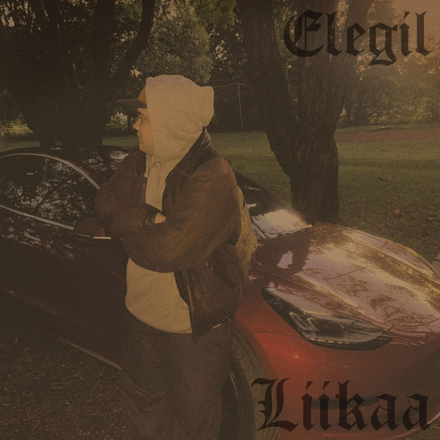 Liikaa cover art