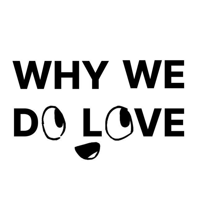 Обкладинка: WHY DO WE LOVE — HappyPizzaBread