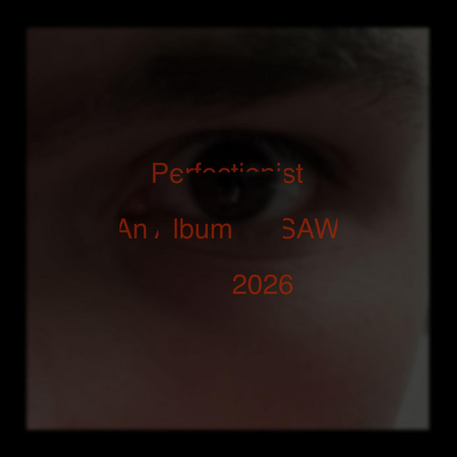 Perfectionist cover art