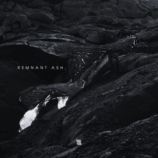 Remnant Ash
