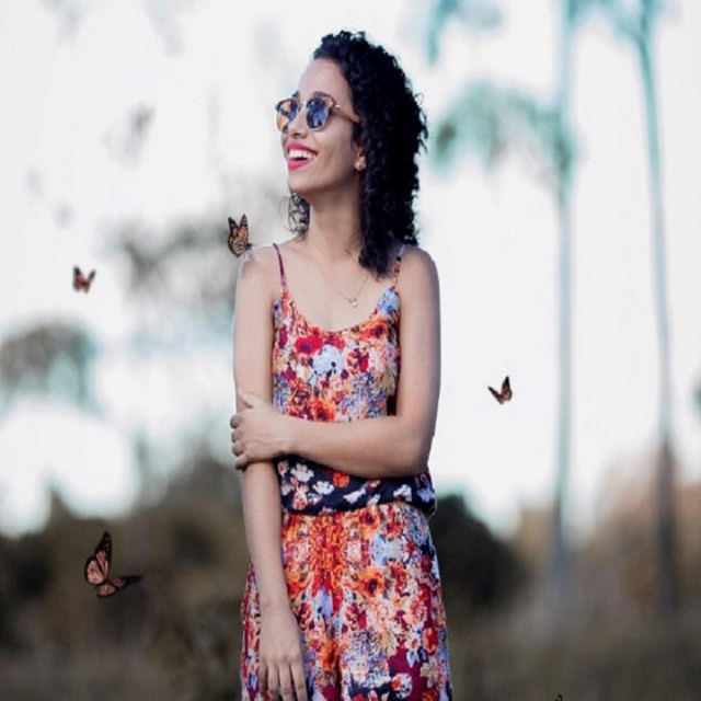 Butterfly Highway