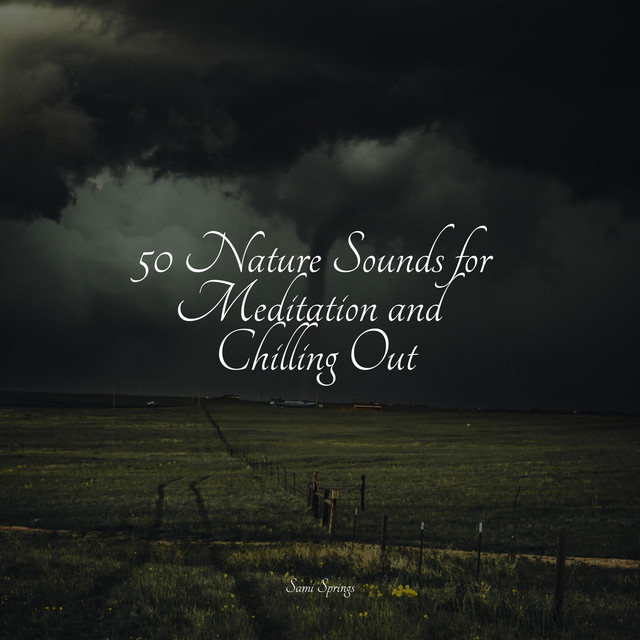 50 Nature Sounds for Meditation and Chilling Out - Album by Nature ...