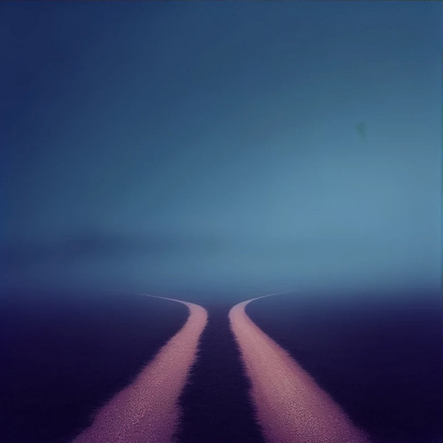 you must make your choice (single)