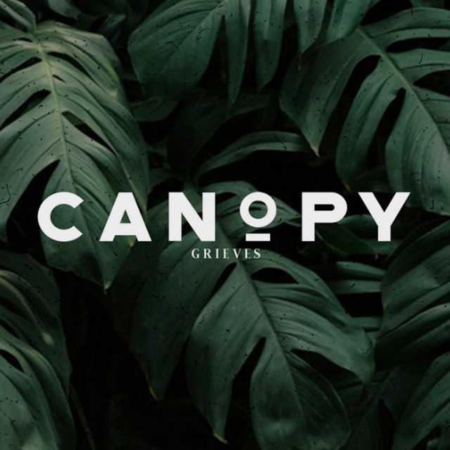 Canopy cover art