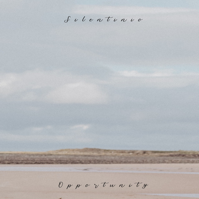 Opportunity cover art