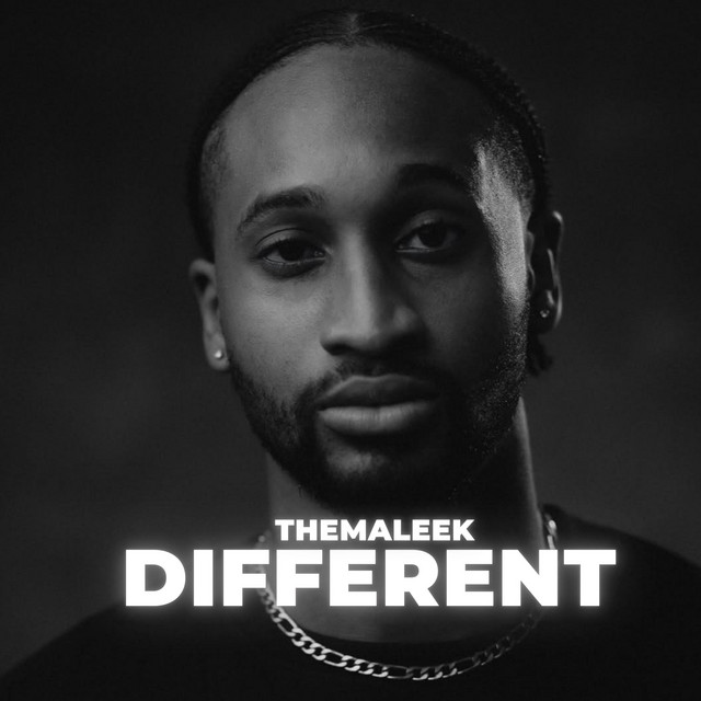 TheMaleek
