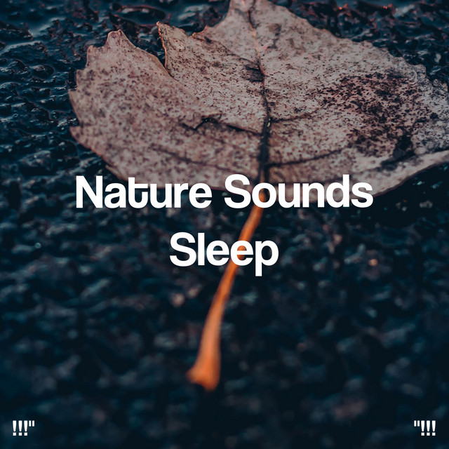 Nature Sounds Sleep "!!! - Album by Deep Sleep | Spotify