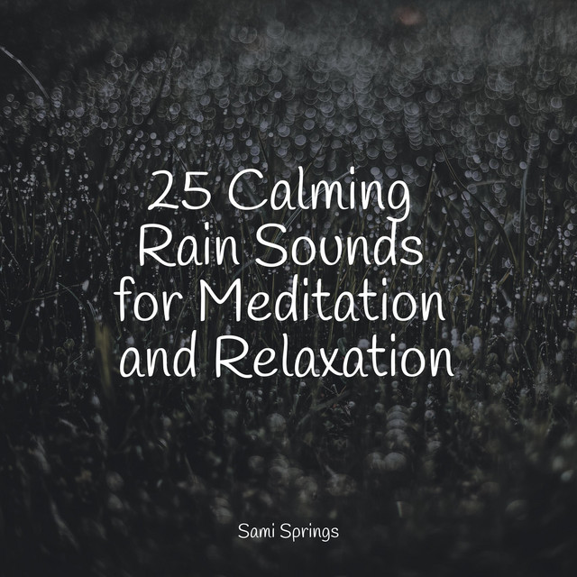 25 Calming Rain Sounds for Meditation and Relaxation - Album by Spa Zen ...