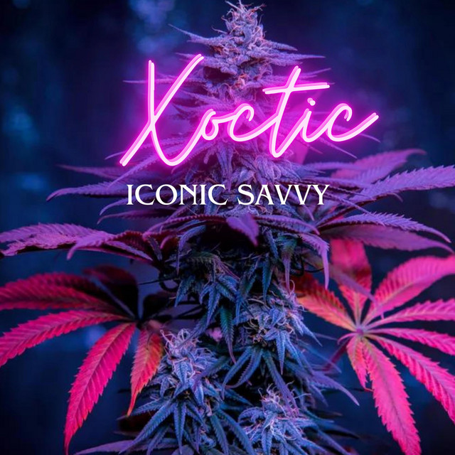 Xotic