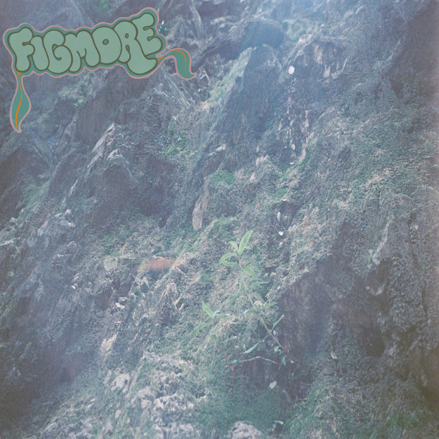 Figmore cover art