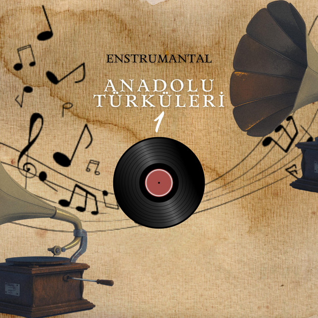 Anadolu Türküleri - 1 cover art