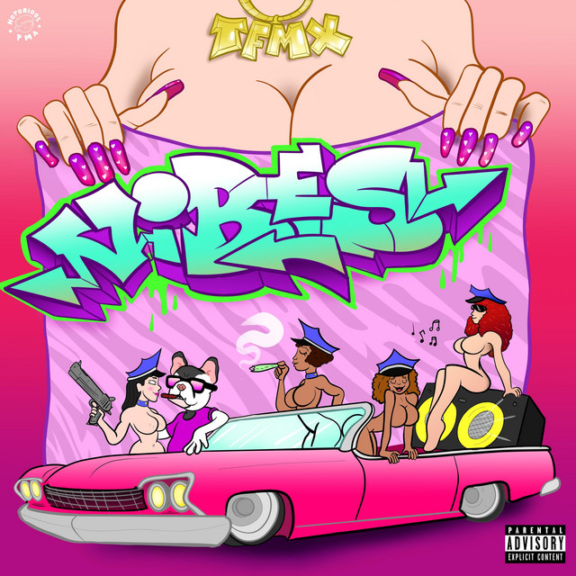 VIBES cover art