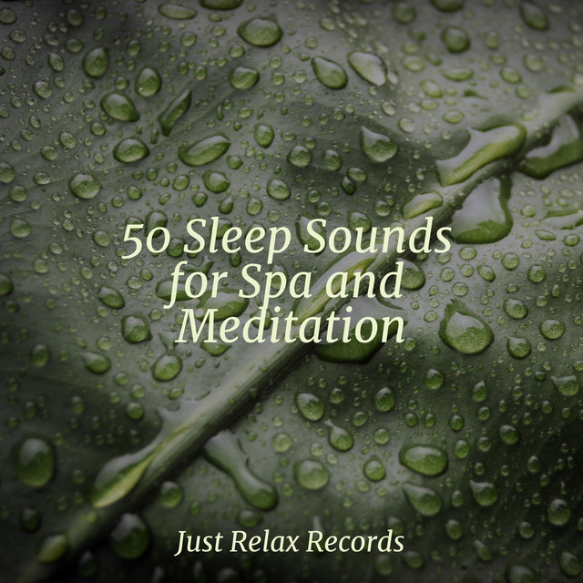 50 Sleep Sounds for Spa and Meditation - Album by Rockabye Lullaby ...