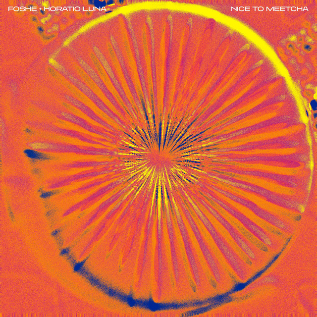 Nice To Meetcha cover art