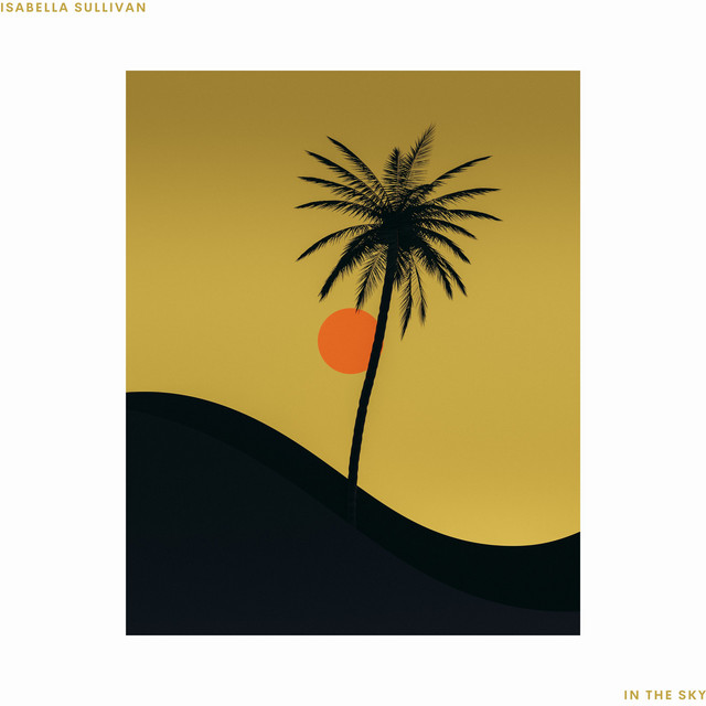 In The Sky cover art