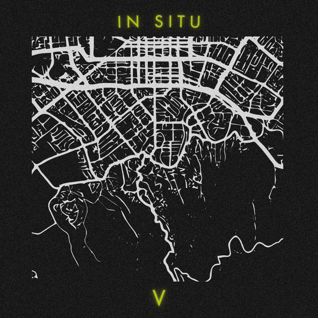 In Situ : V cover art