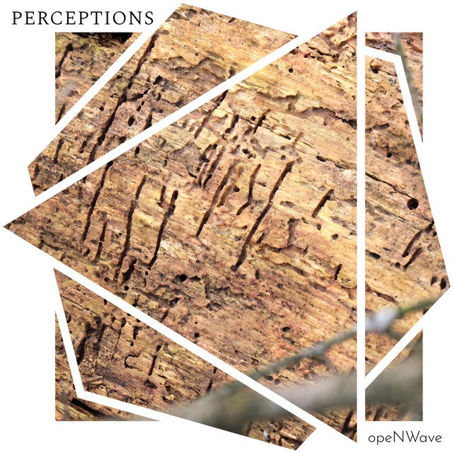 Perceptions cover art