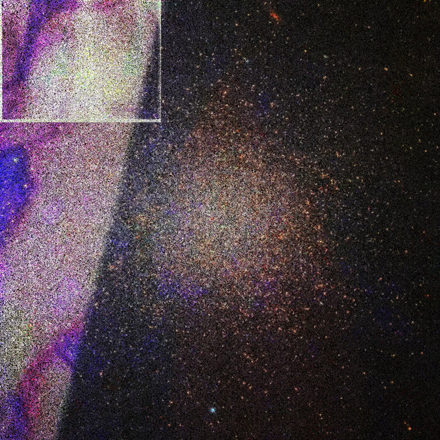 Wild cover art