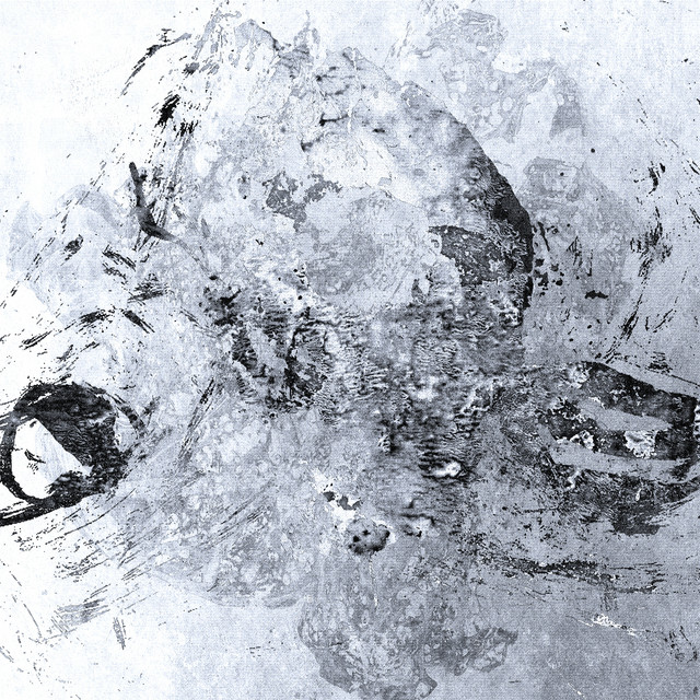 TU PENSES QUE J'EN SUIS FIER ? cover art