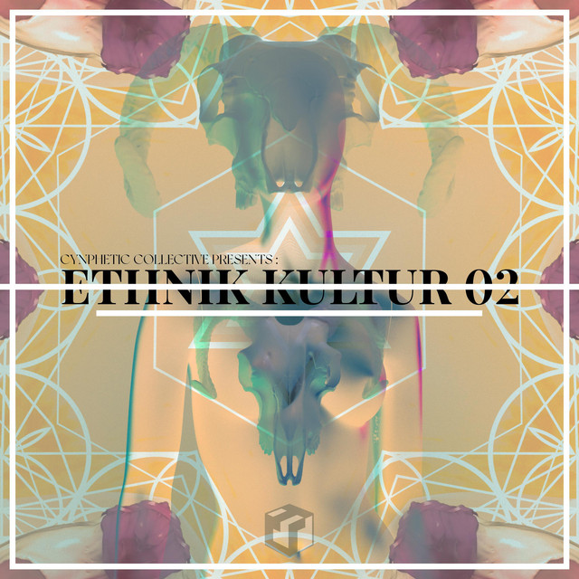 ETHNíK KULTUR 2 cover