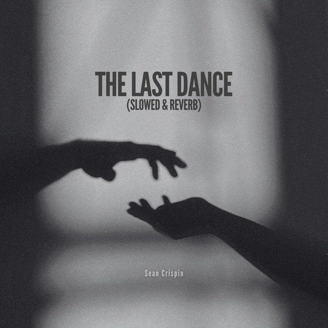 The Last Dance (Slowed & Reverb) cover art