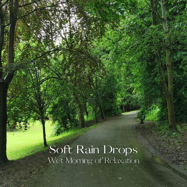 Soft Rain Drops: Wet Morning of Relaxation cover art