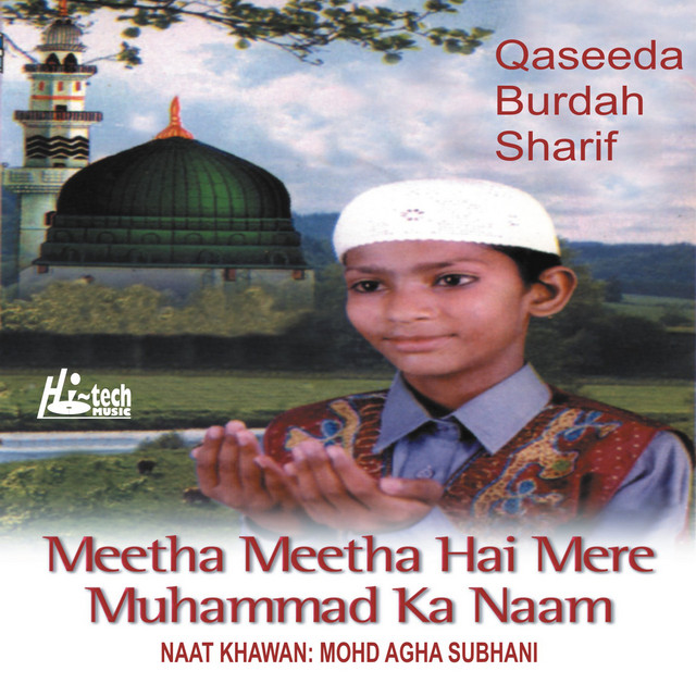 Mohd. Agha Subhani | Spotify