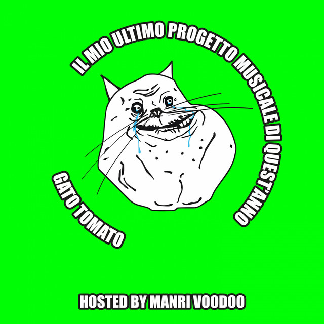 Il mio ultimo progetto musicale di quest'anno cover art