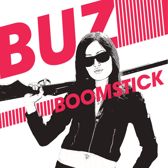 Boomstick cover