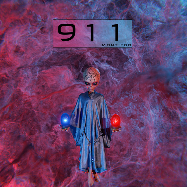911 cover art