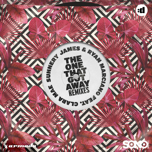 The One That Got Away (feat. Clara Mae) - Kyodee Remix