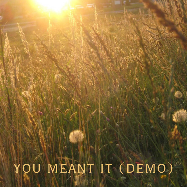 you meant it (demo) cover art