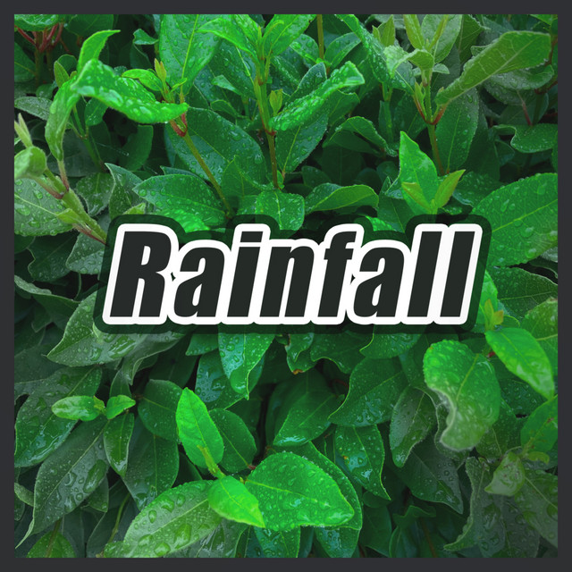 Rainfall cover art
