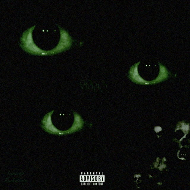9960 cover art