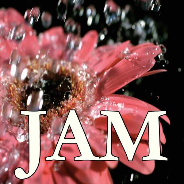 Jam - Single by 2016 Hitfield | Spotify
