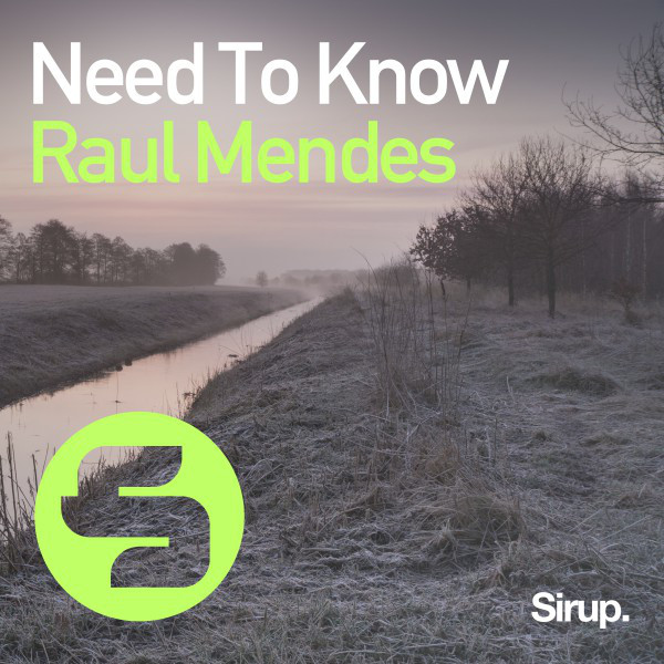 Need to Know - Original Club Mix album art