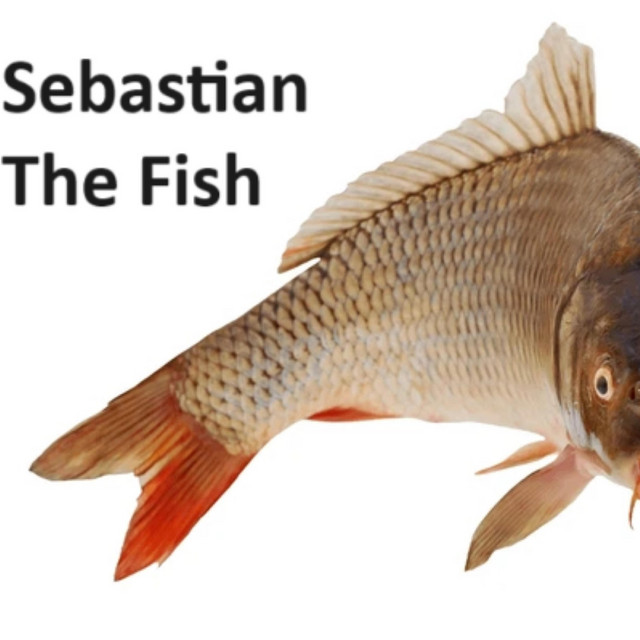 Sebastian The Fish (Pt. 1) - Single by Fiji in the Beans | Spotify