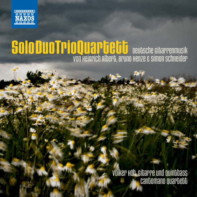 SoloDuoTrioQuartett cover art