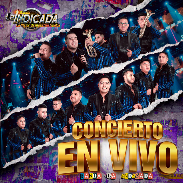 Concierto En Vivo cover art