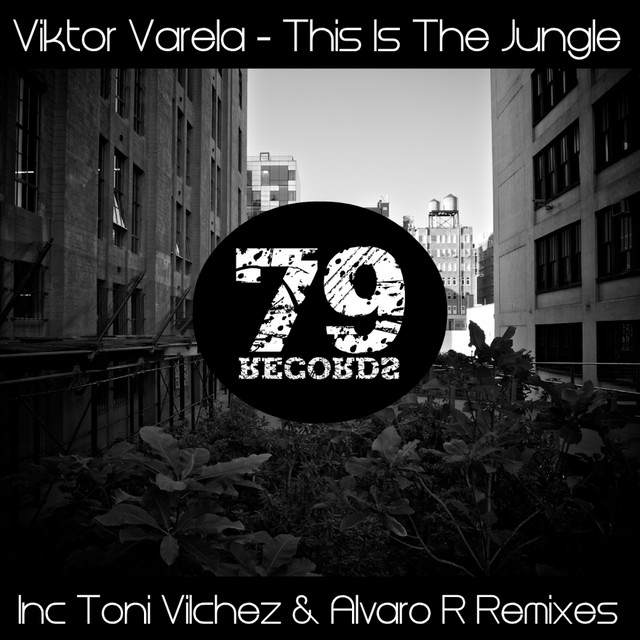 This Is The Jungle - Original Mix cover art