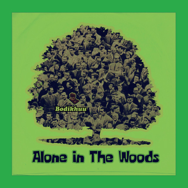 Alone in the Woods cover art