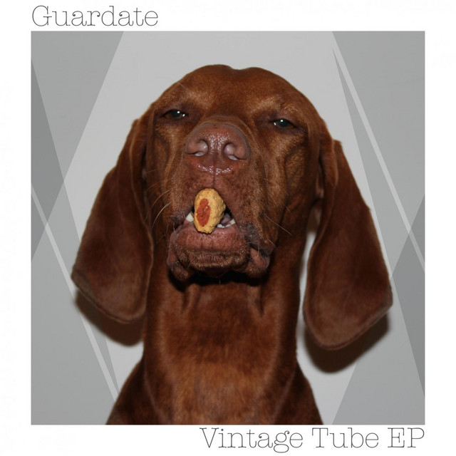 Vintage Tube - Original Mix cover art